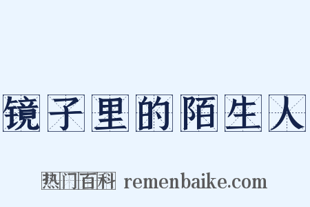 镜子里的陌生人是什么意思的图片